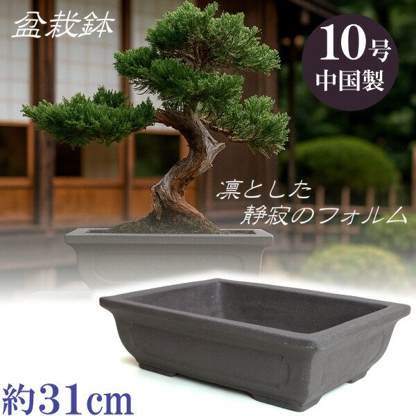 鉢 盆栽鉢 10号」の人気商品一覧 | 安い商品を通販サイトから探す