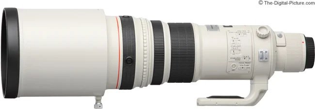 Canon EF 500mm f/4L IS USM Lens Review