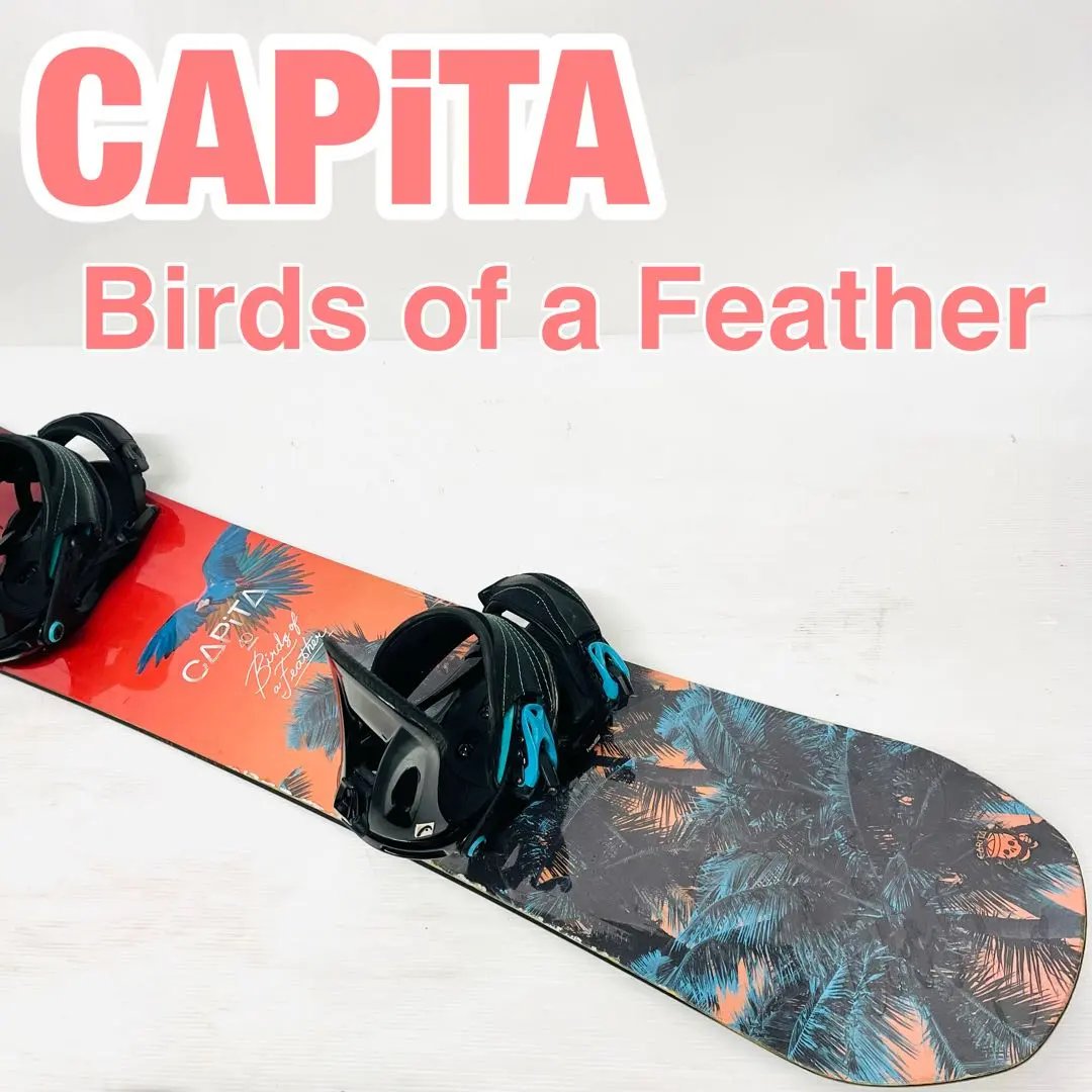 2026年最新】capita birds of a featherの人気アイテム - メルカリ
