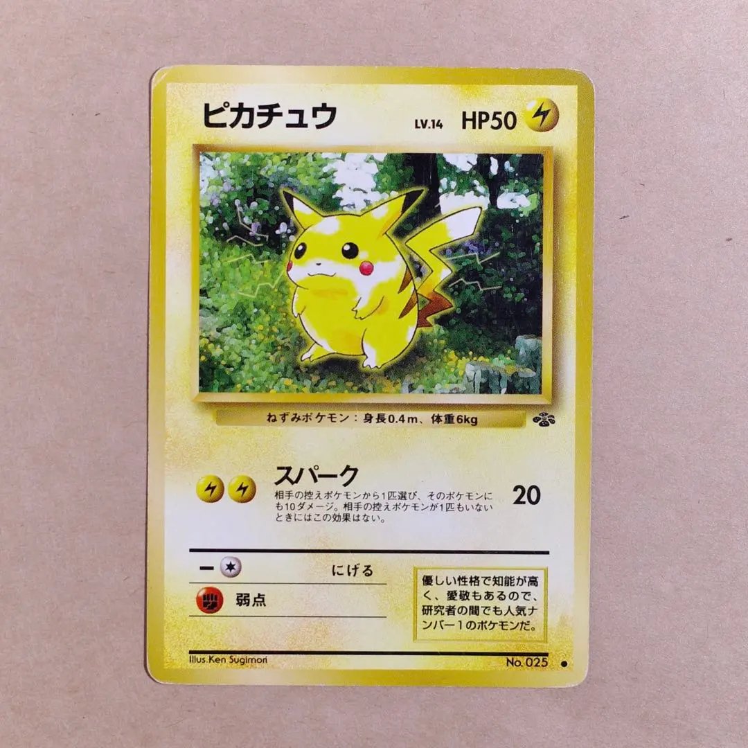 m62077121115_1.jpg?1772845451