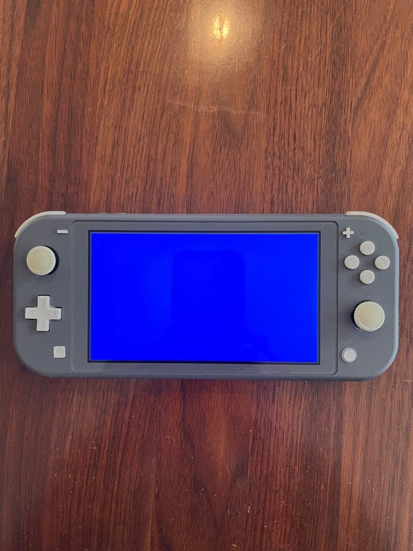 【ジャンク品】Nintendo Switch Lite 本体(透明カバー付き) Nintendo Switch Lite ケース ハード 耐衝撃 ニンテンドー スイッチ