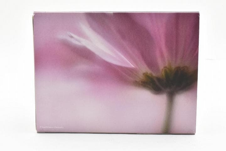 15238E ☆新品☆ レンズベビー 56mm F1.6 LENSBABY - メルカリ