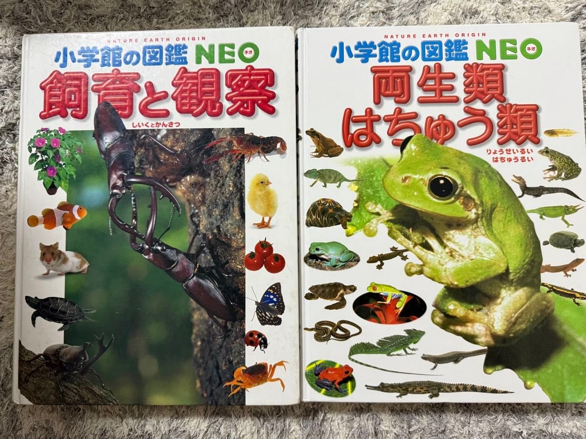小学館の図鑑Neo プレNeo 12冊セット｜Yahoo!フリマ（旧PayPayフリマ）