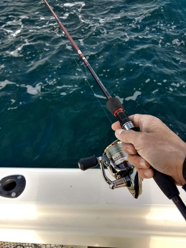 頬を刺す風、ティップラン - Boat Fishing Blog in Saiki bay, Oita