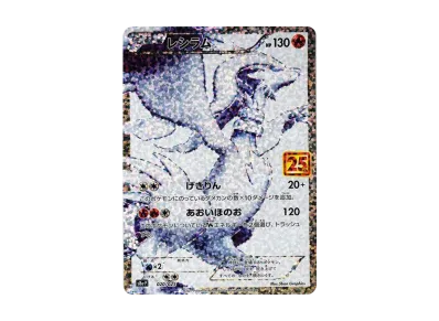 PSA10】マグマ団のグラードン: プロモ [S8a-P 011/025](プロモカード